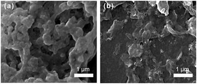 Synergistic Catalysis by “Polymeric Microzymes and Inorganic Nanozymes”: The 1+1>2 Effect for Intramolecular Cyclization of Peptides